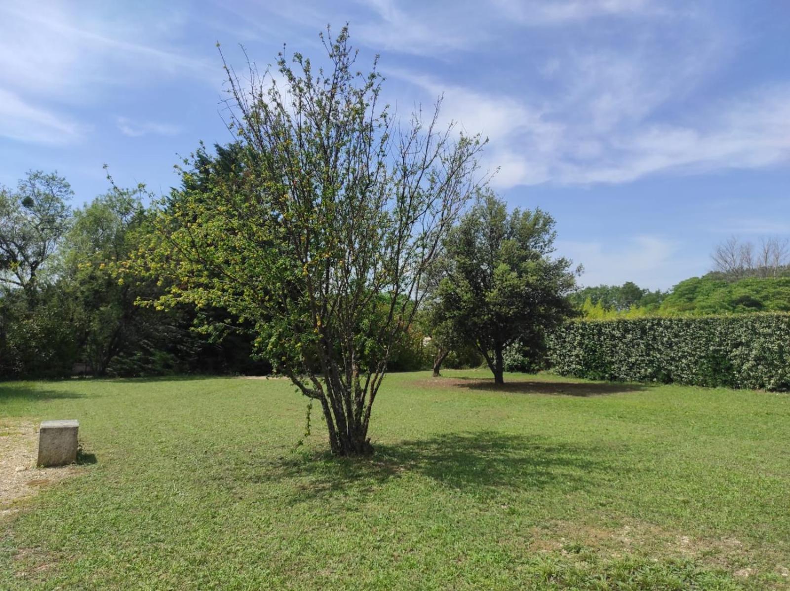 Villas De La Ferme Du Gros Noyer Malaucene Luaran gambar